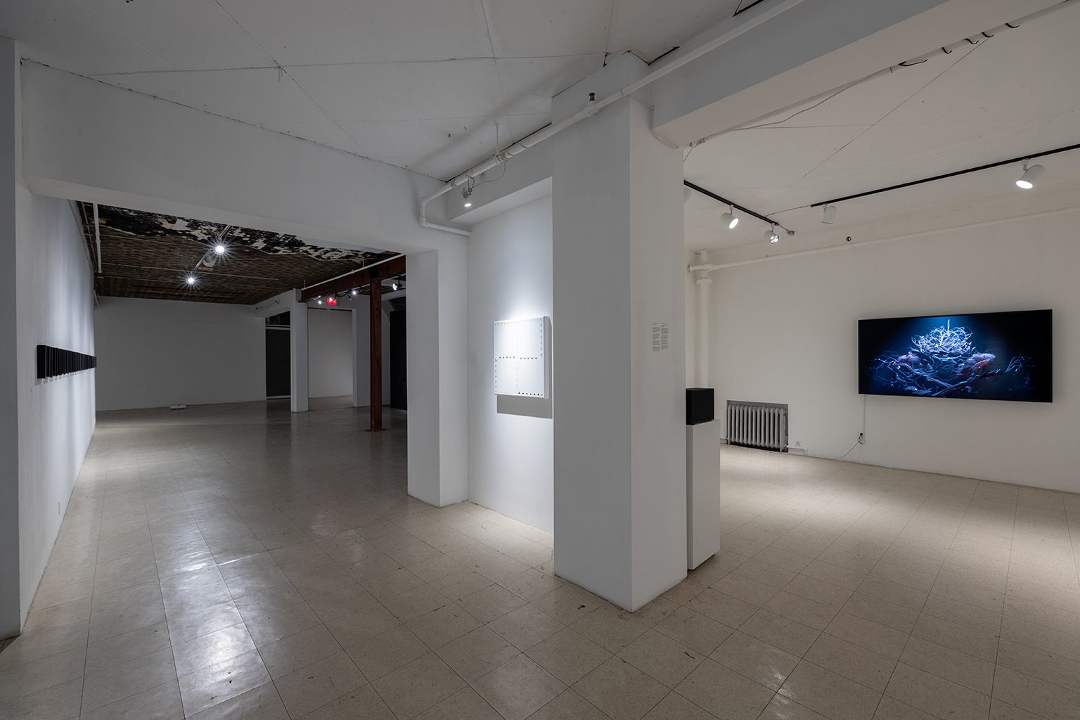 I am not the only hatchling — installation view at Art Mûr, VR station and video display