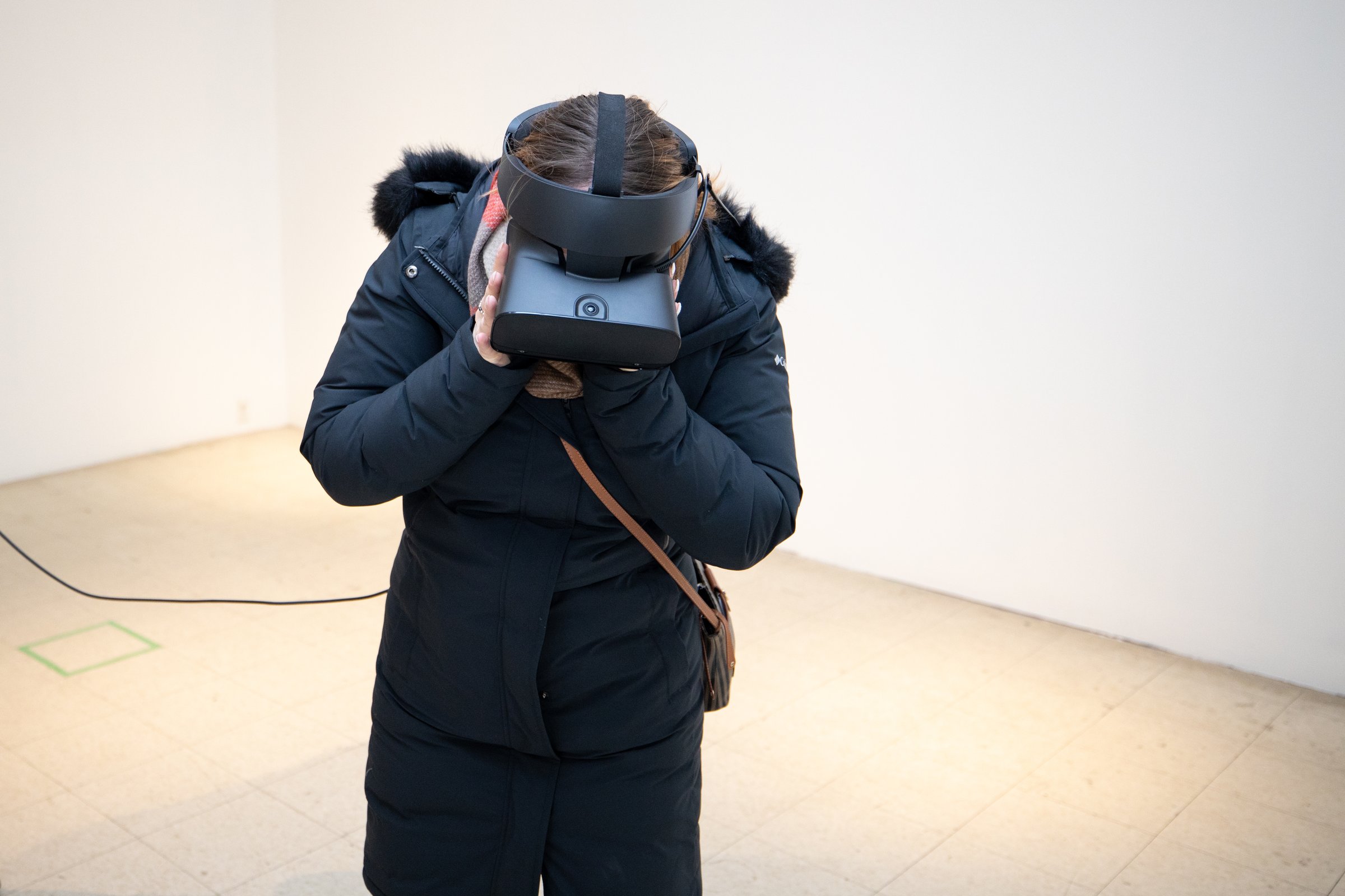 I am not the only hatchling — gallery installation with video and VR