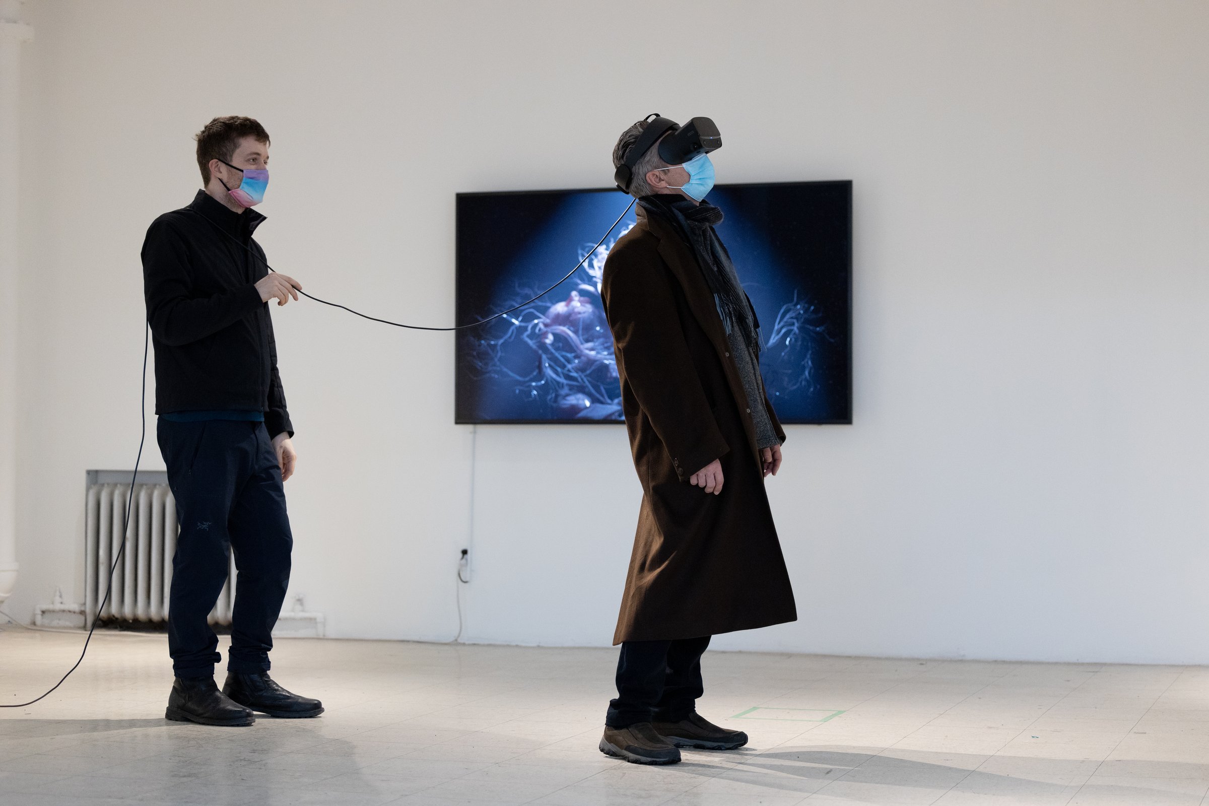I am not the only hatchling — VR experience in the gallery space