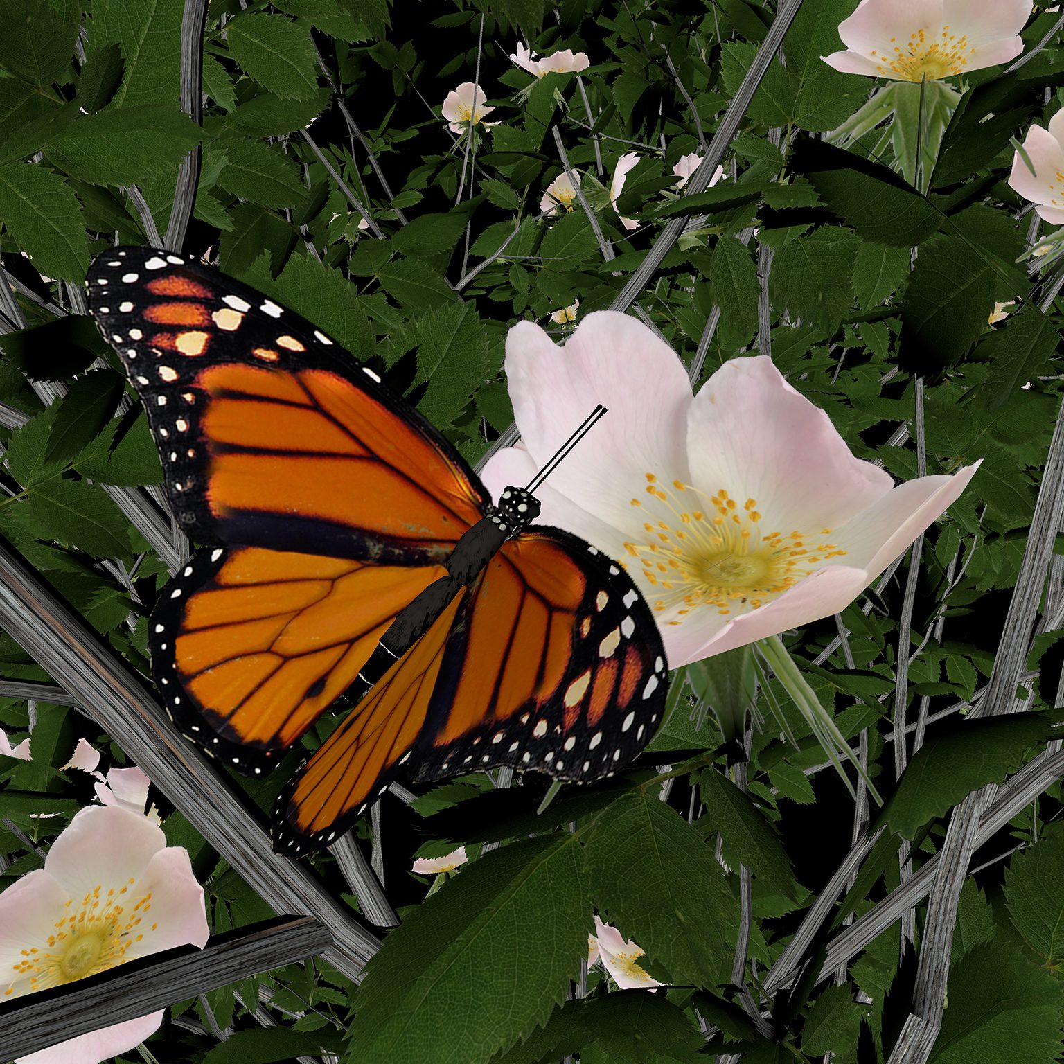 Dans la scène — 3D-generated artwork, another world rendered as gallery print