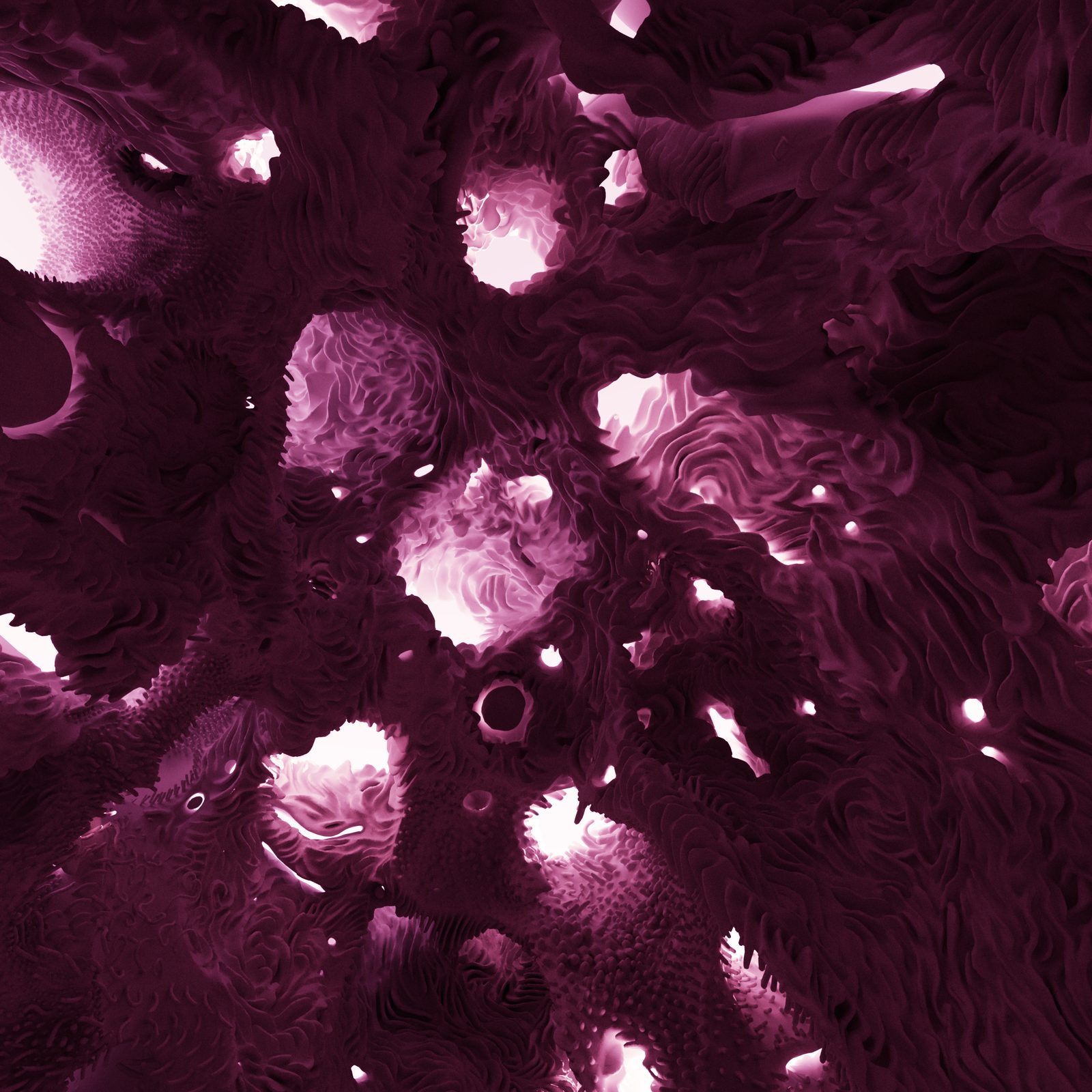 Gloam — multiple light sources penetrating deep organic folds