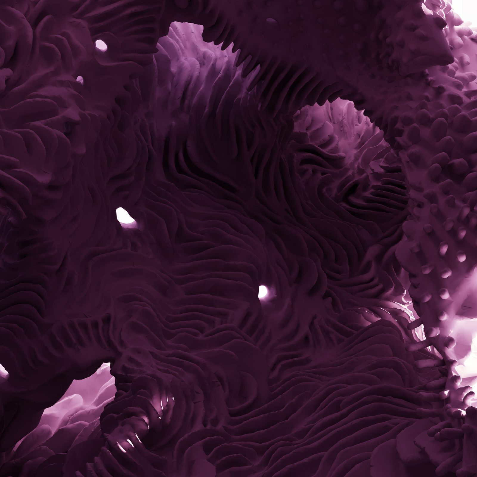 Gloam — ridged and folded surfaces in deep shadow, detail of hand-sculpted texture