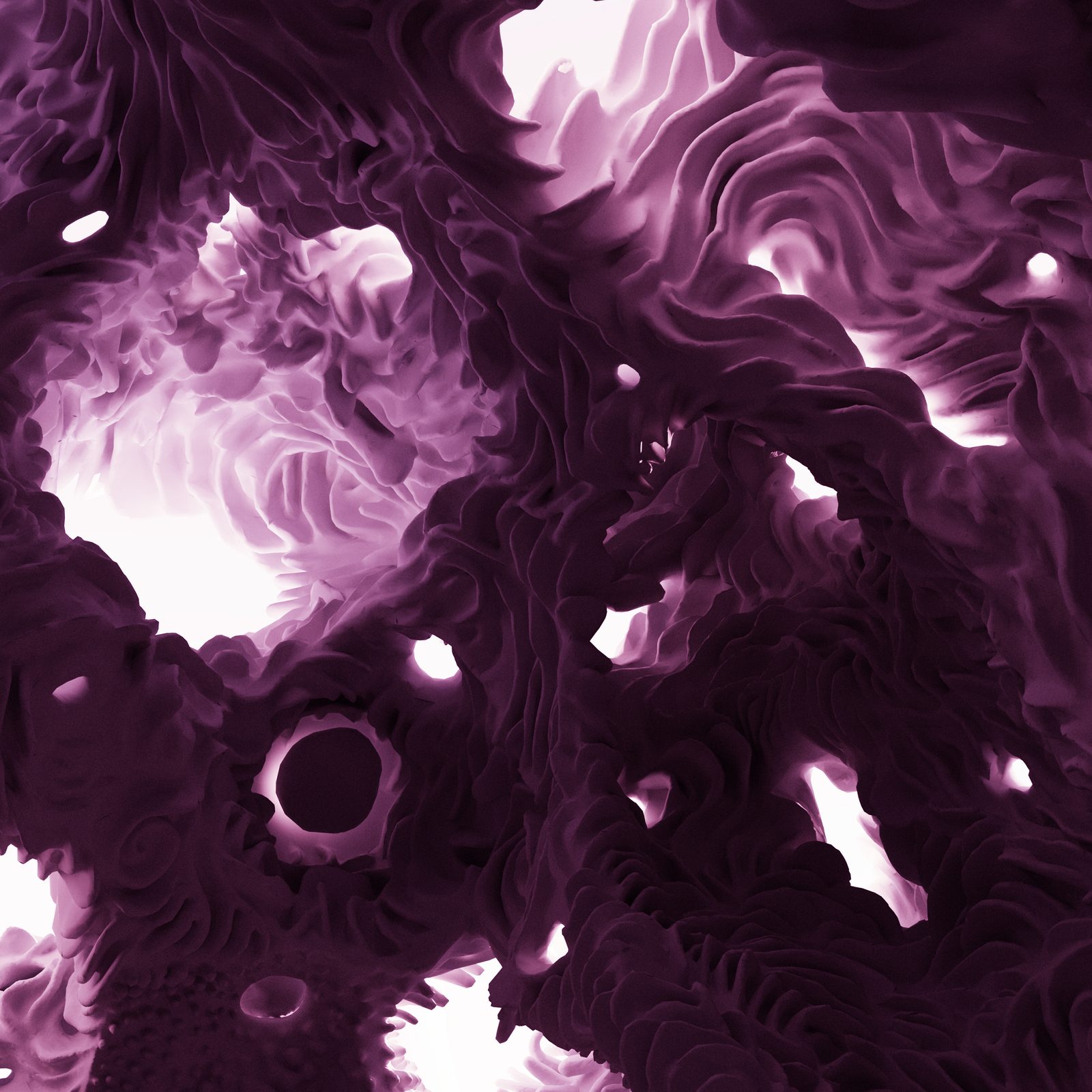 Gloam — dramatic light and shadow across organic folds