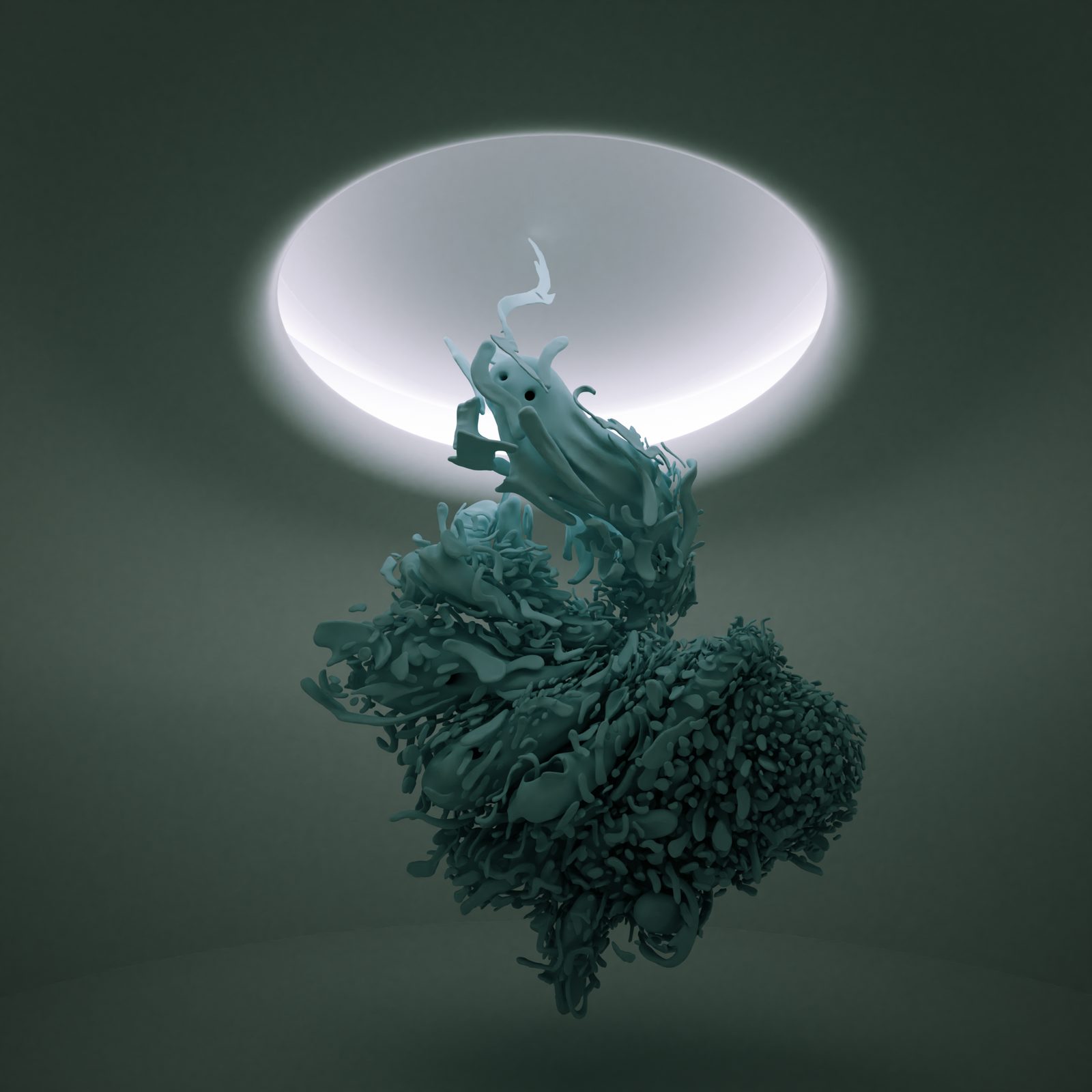 Salvo — Room I of the Light Gallery