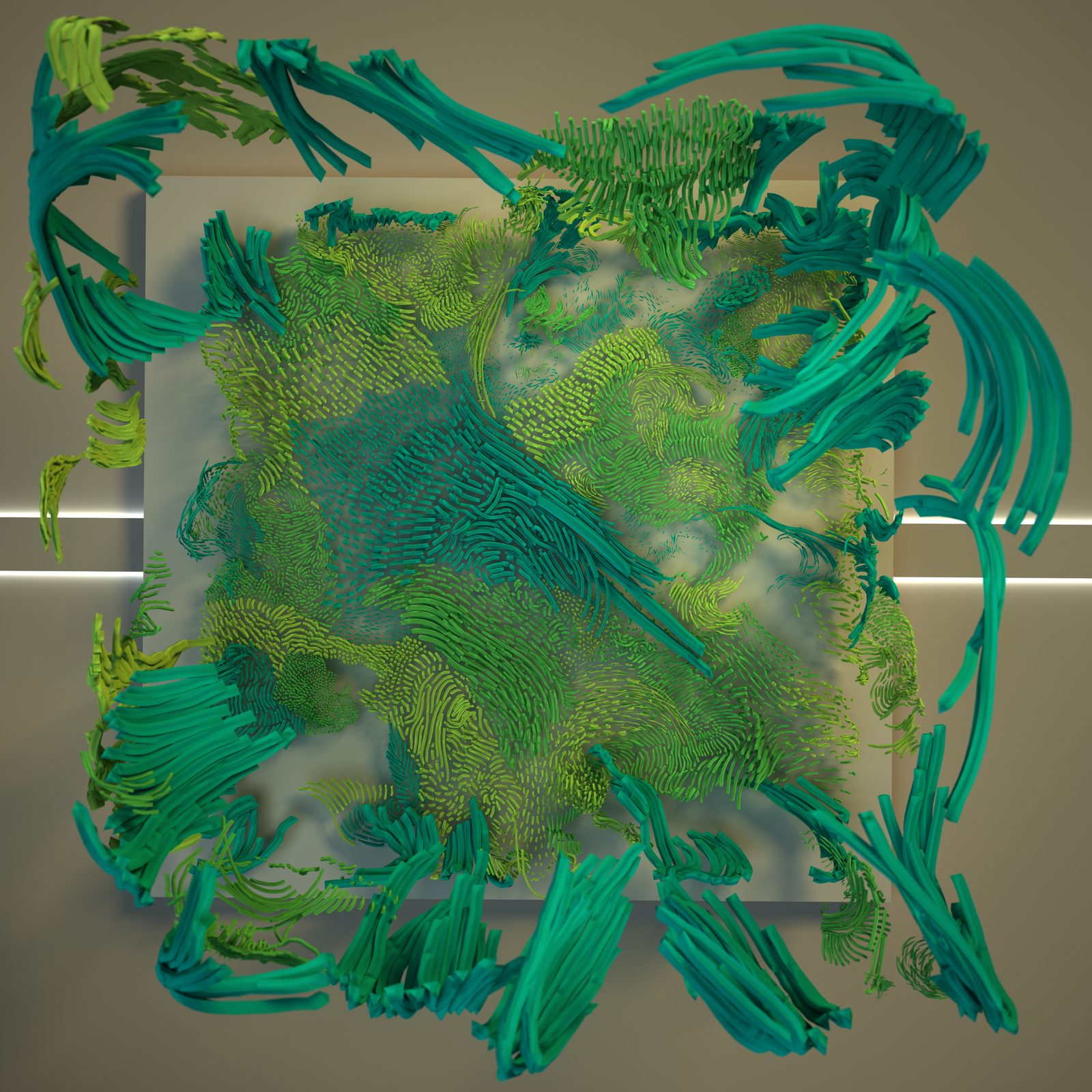 OASIS — top-down plan view showing the garden overflowing the rectangular floor, organic forms spilling past the room boundaries