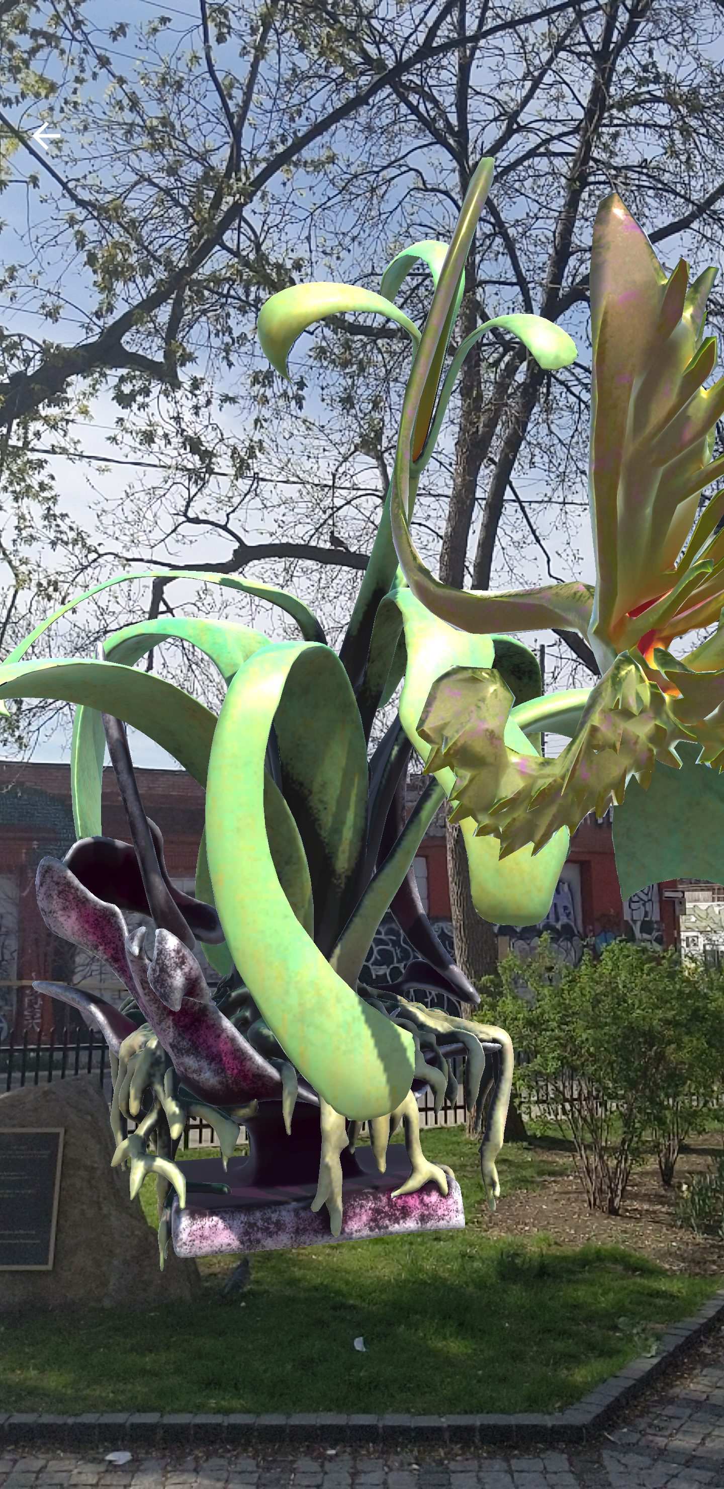 Cryote's AR plant creature rising from park bushes, visible through phone screen at MURAL Festival